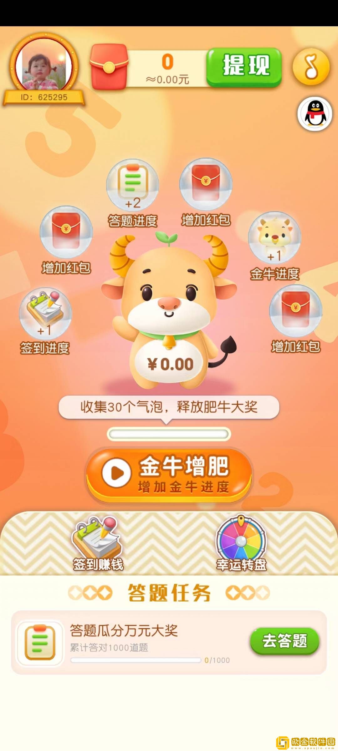 金猪问答游戏