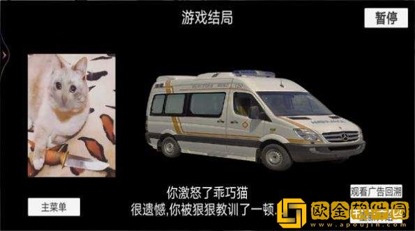 猫猫惊魂夜