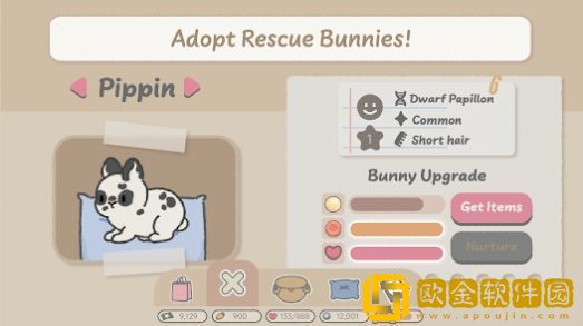 Bunny Ha