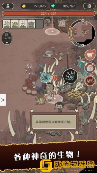 狂野驯兽师新纪元