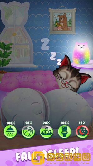 小猫托儿所