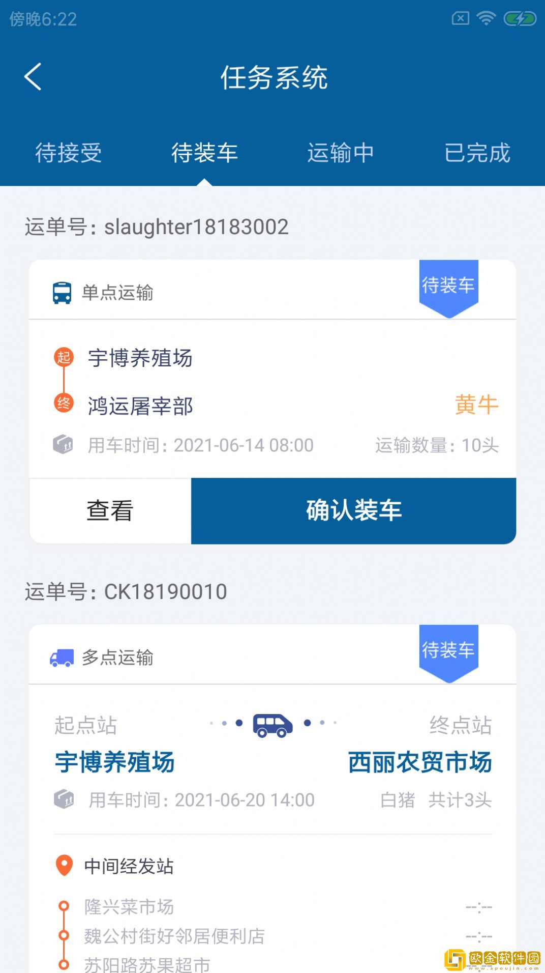 猫泓牧卡达