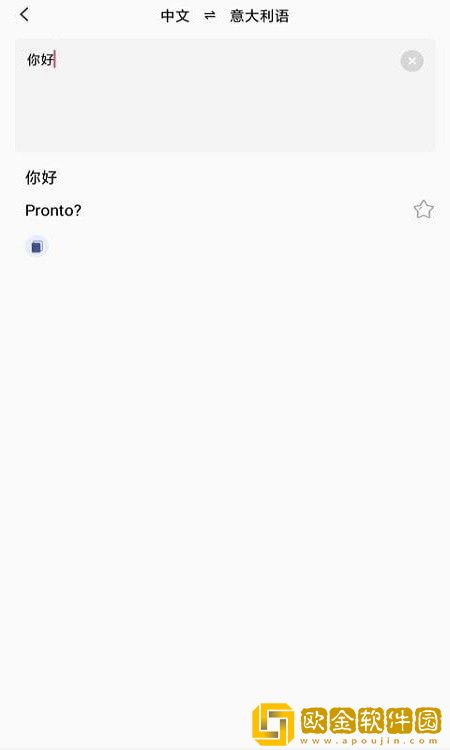 小语种翻译