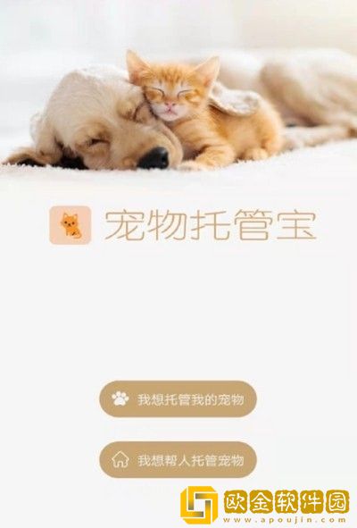 宠物托管宝