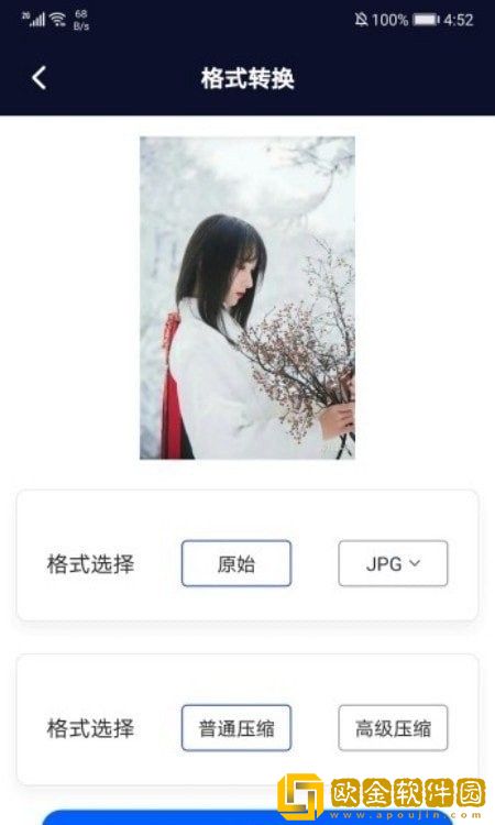 专业p图