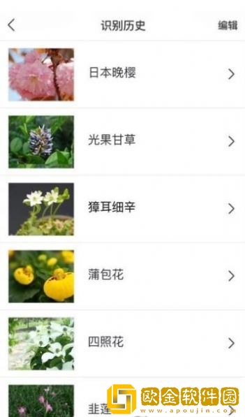 识花大师