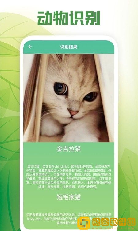 花卉百科