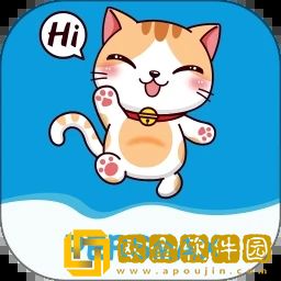胖猫健康