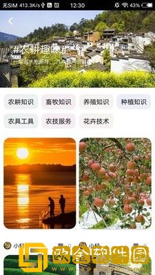 轻游互联