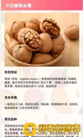西瓜对对碰