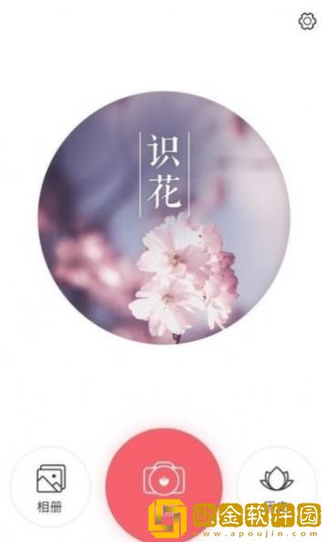 识花大师