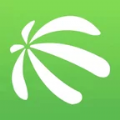 金德意油脂办公
