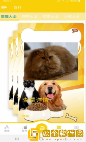 博猫养猫