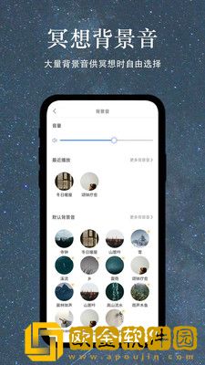 冥想猫