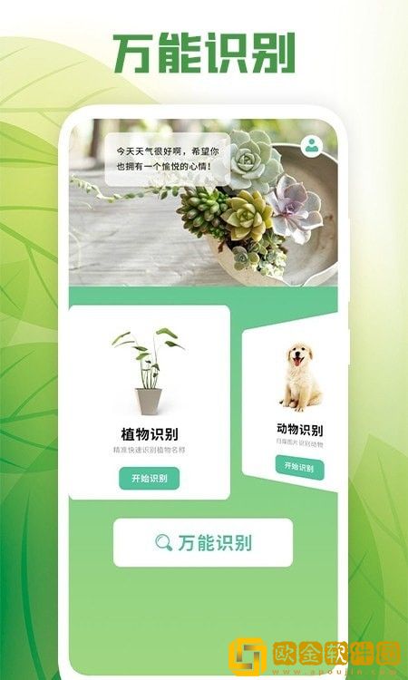 花卉百科