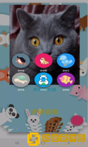 博猫养猫