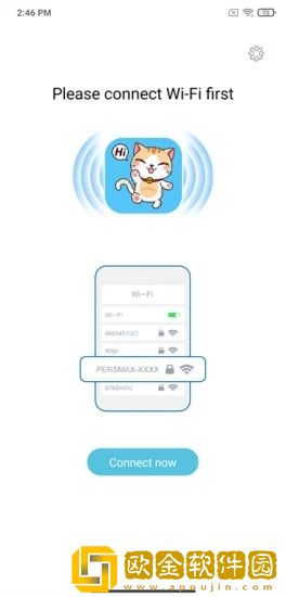 胖猫健康