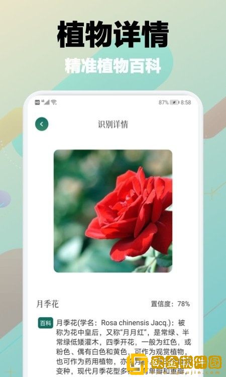 树林记忆
