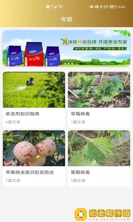 小肥龙