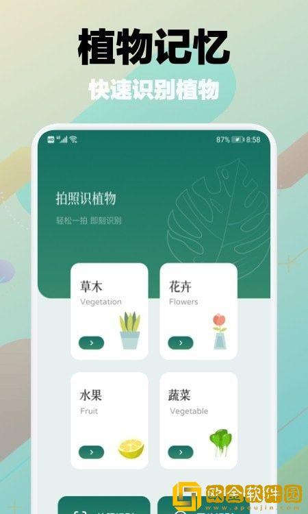 树林记忆