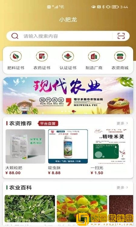 小肥龙