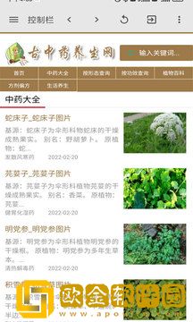 古中药养生网