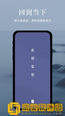冥想猫