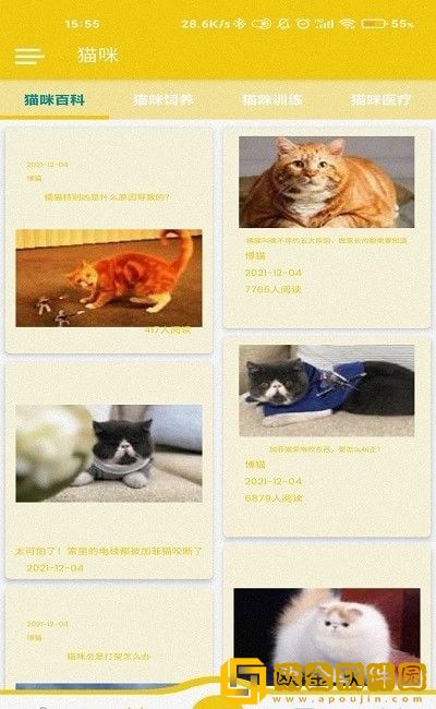 博猫养猫