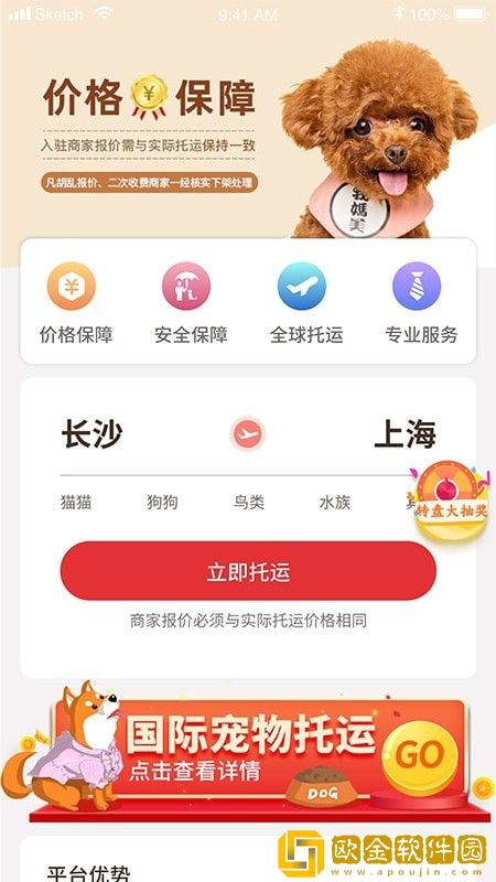 宠物托运pet