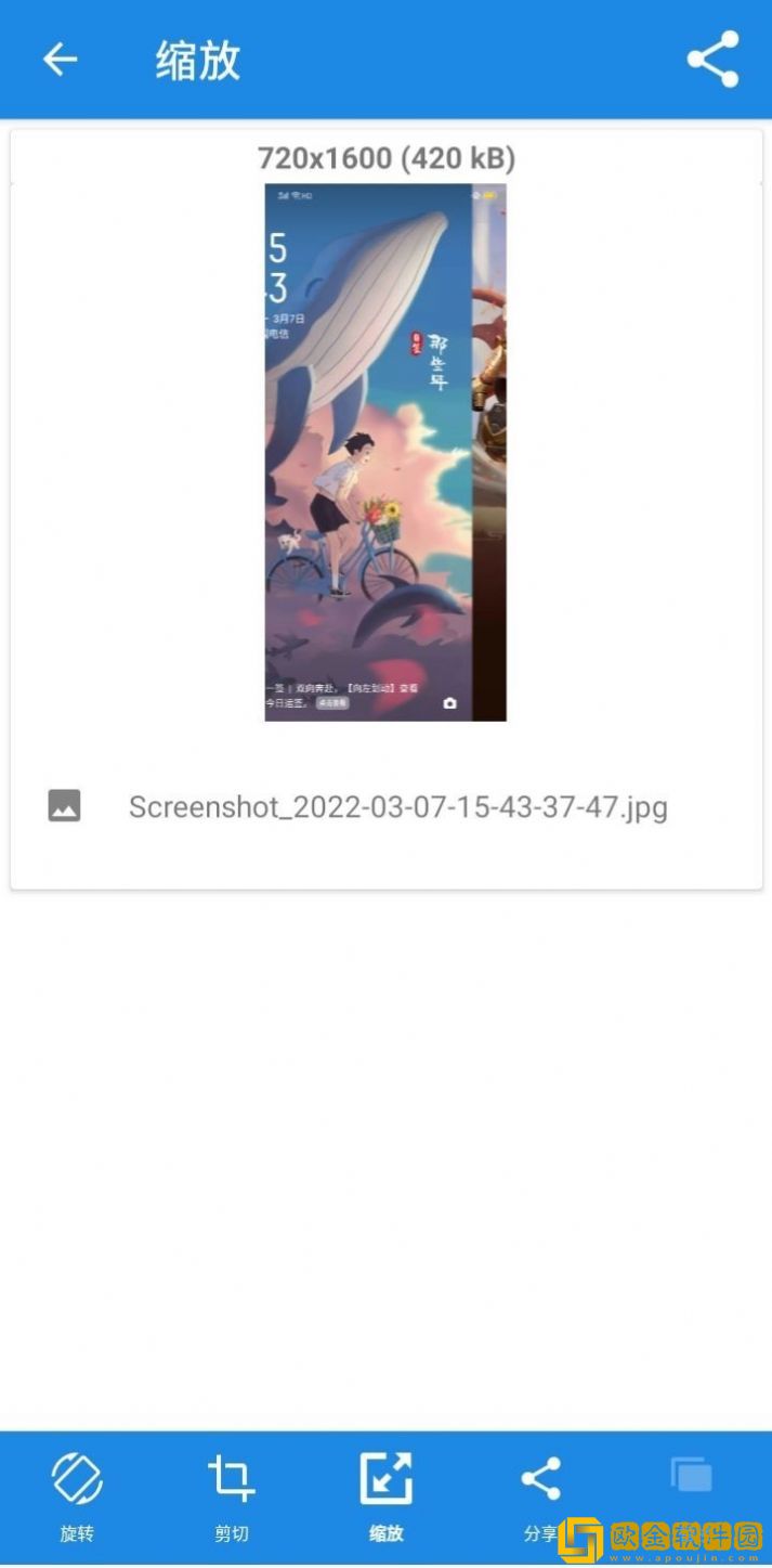 毛栗美图