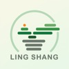 灵尚绿植宝