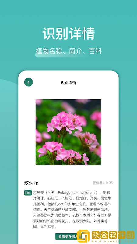 识花识物