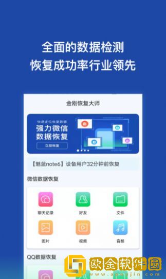 金刚恢复大师