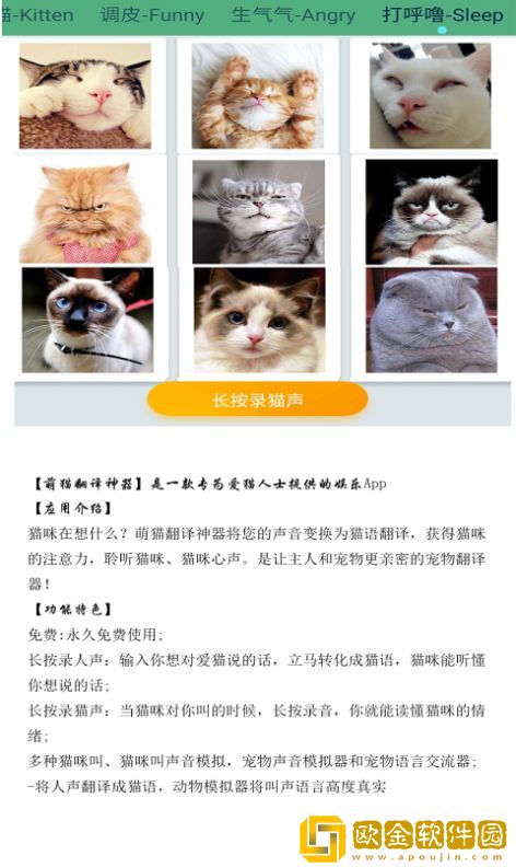 晋江猫语翻译器