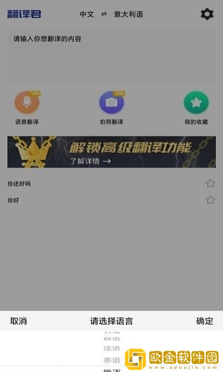 小语种翻译