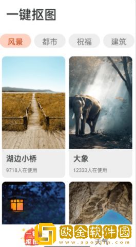 木瓜看点