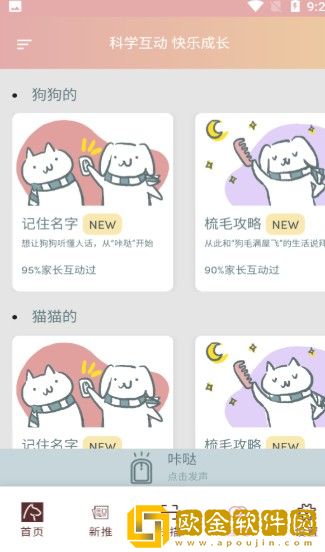 陪宠宠物