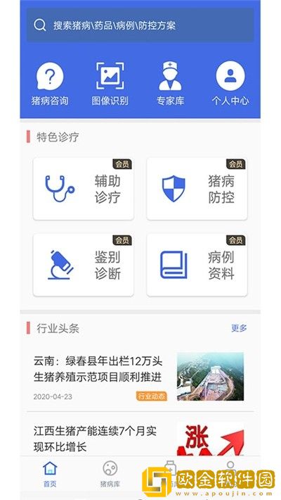 猪安全