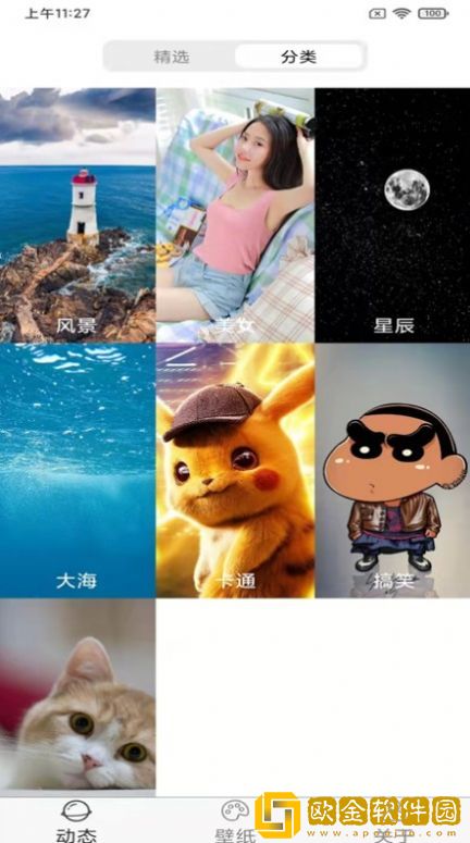 飞花动态壁纸