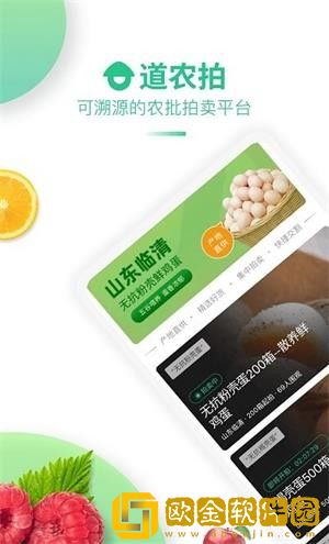 道农拍