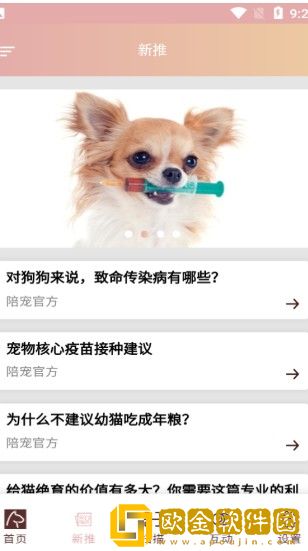 陪宠宠物
