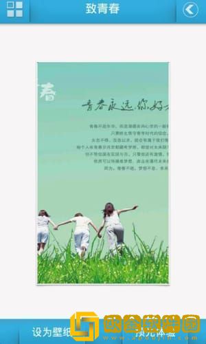 致青春动态壁纸