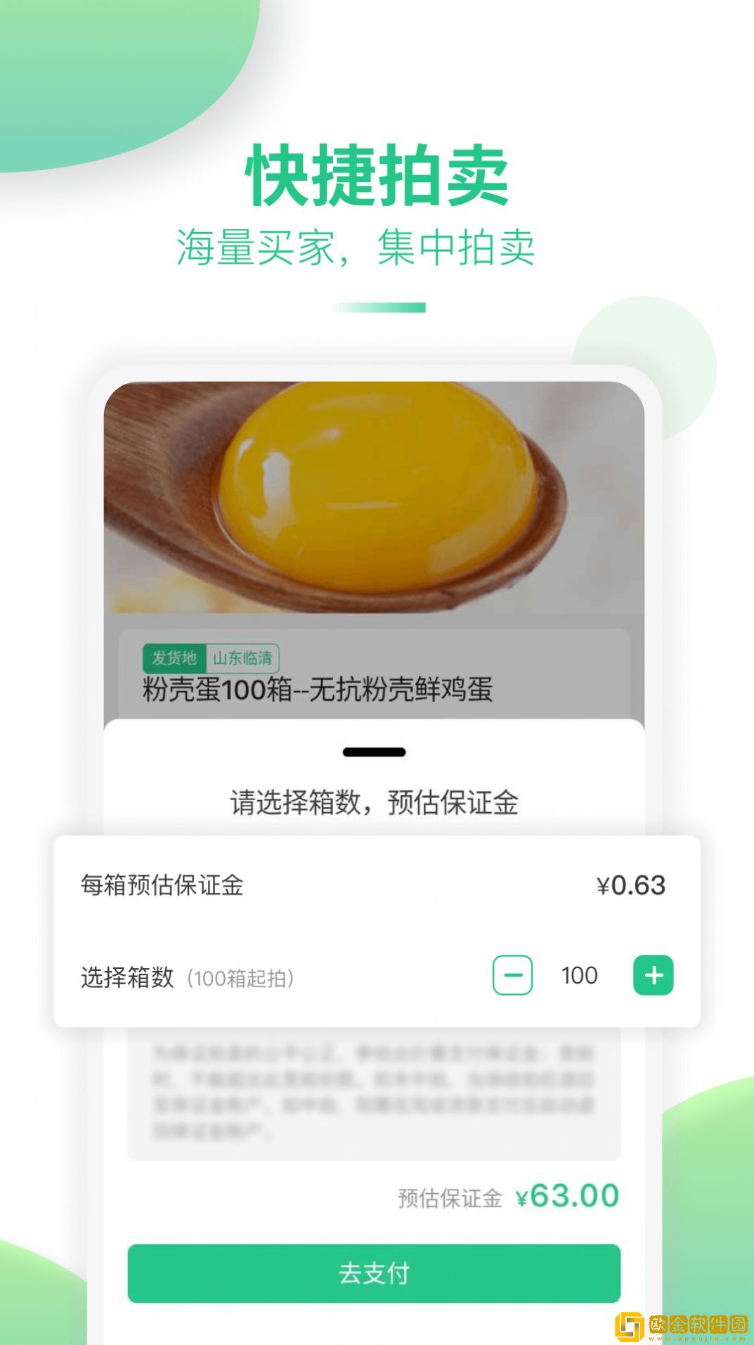 道农拍