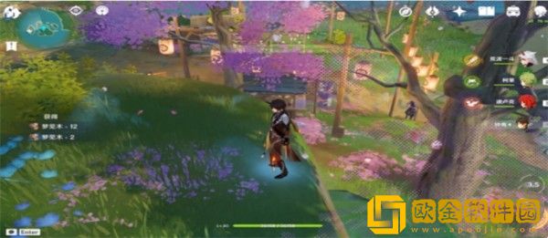 原神梦见木在哪里采集