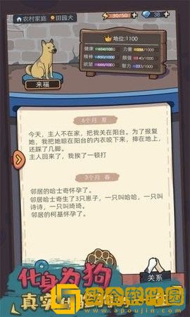 你好狗啊