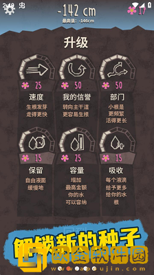 落地生根