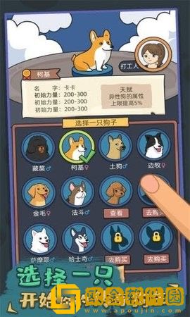 你好狗啊