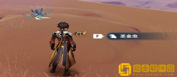 原神3.1圣金虫分布位置在哪里