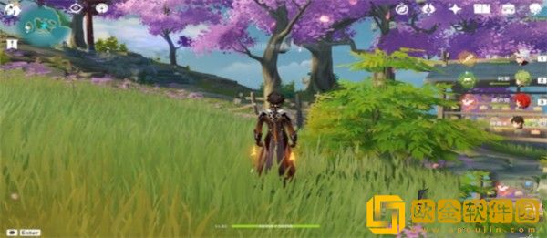 原神梦见木在哪里采集