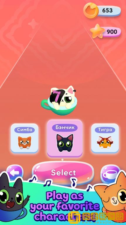 猫猫的奔跑